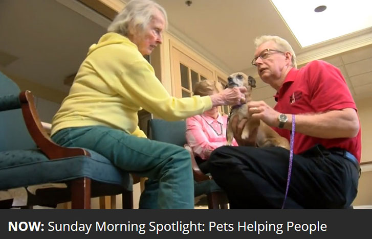 Pets Helping People video